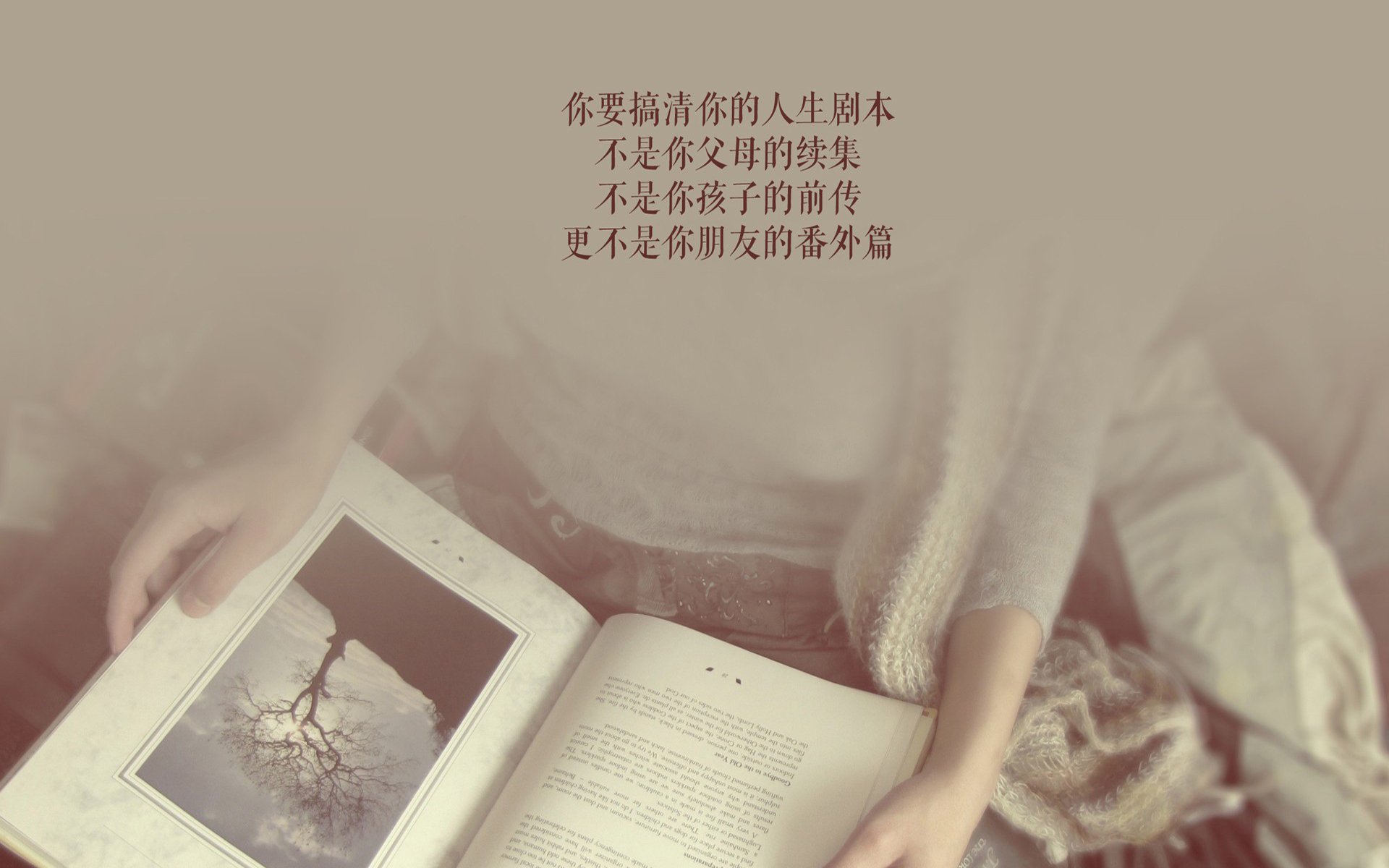 斯威客胜建业，中超冲顶状态火爆，斯威足球队队员简介