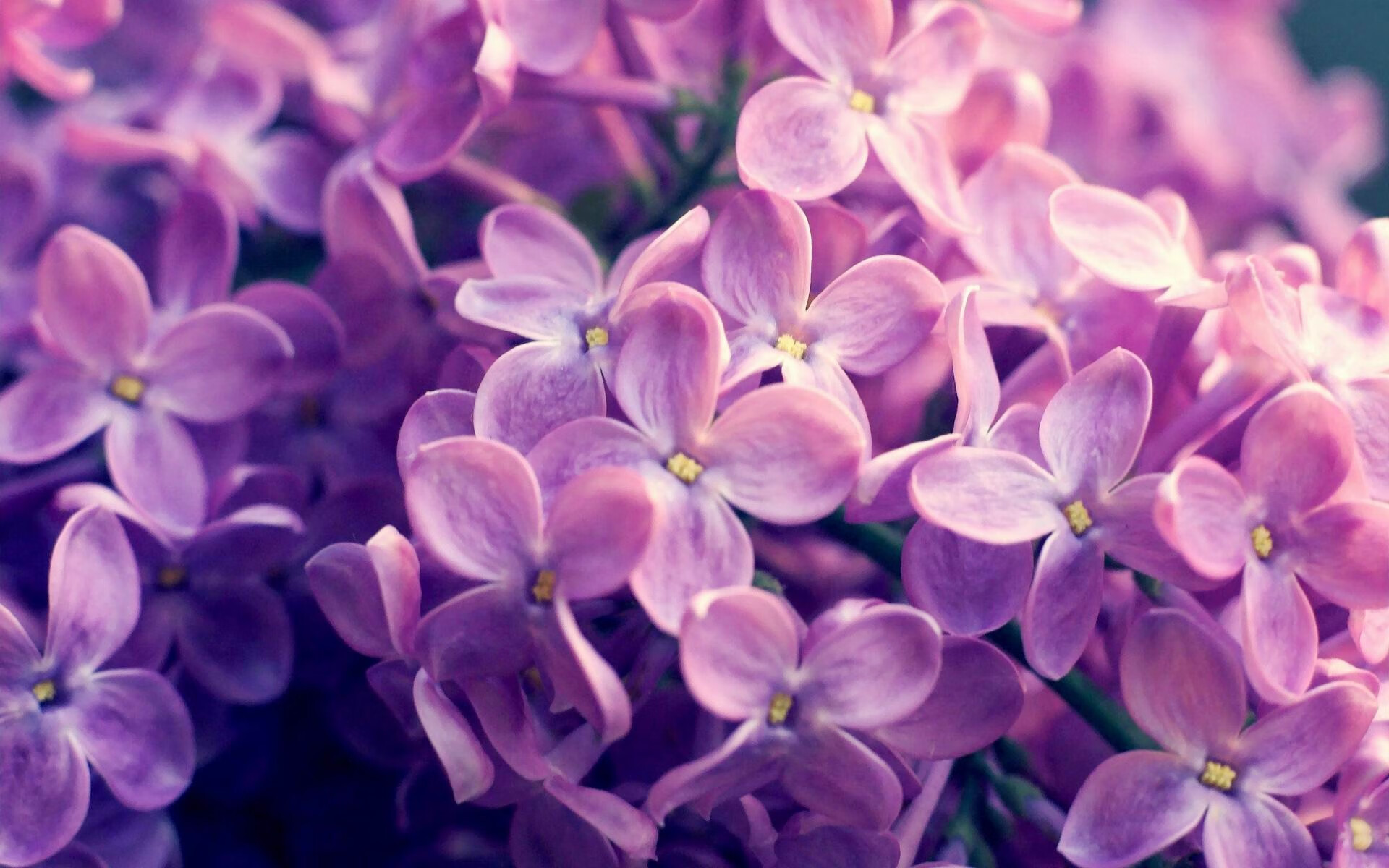 CBA球队关注心理素质提升应对大赛压力，cba球迷素质排名