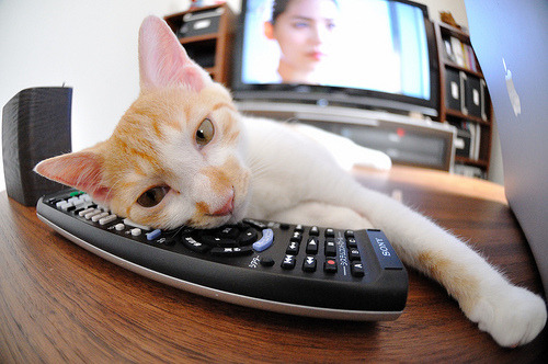 东亚杯国足平局 球迷热议教练布阵，东亚杯中国队阵容