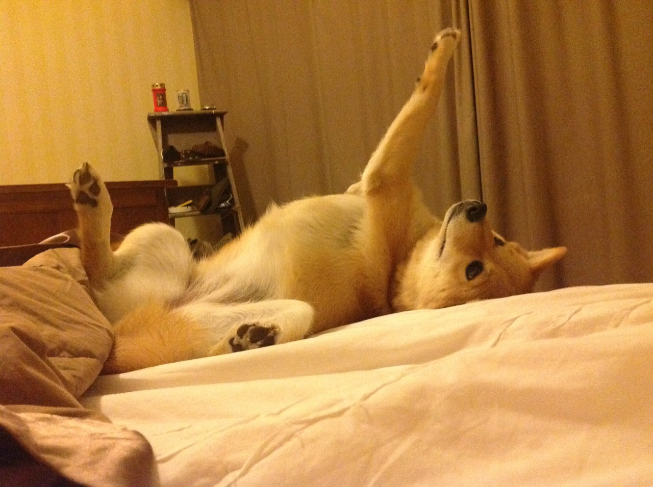 五大联赛定位球战术复杂度是否提升成功率，五大联赛是固定的吗