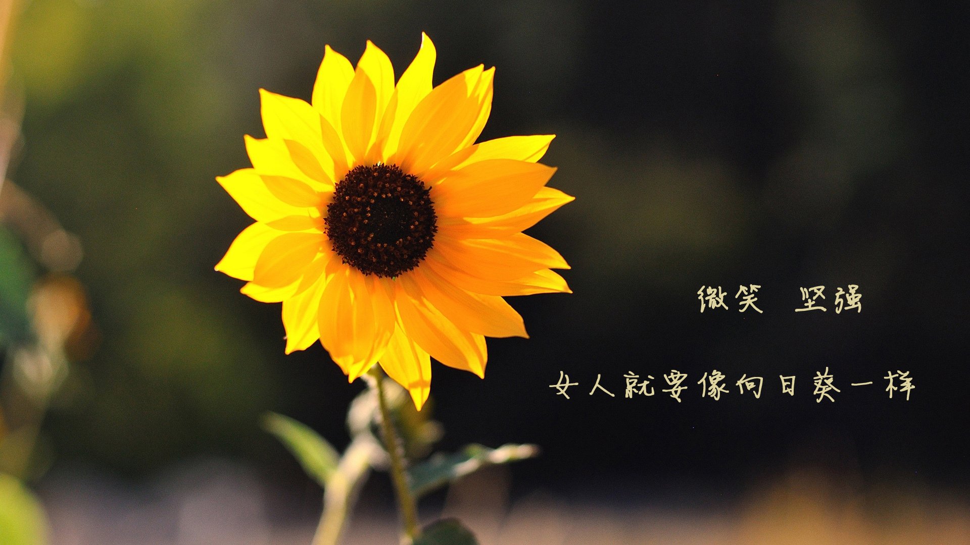 混合双打赛制引爆热潮，观众期待精彩对决，混合双打决赛几局几胜