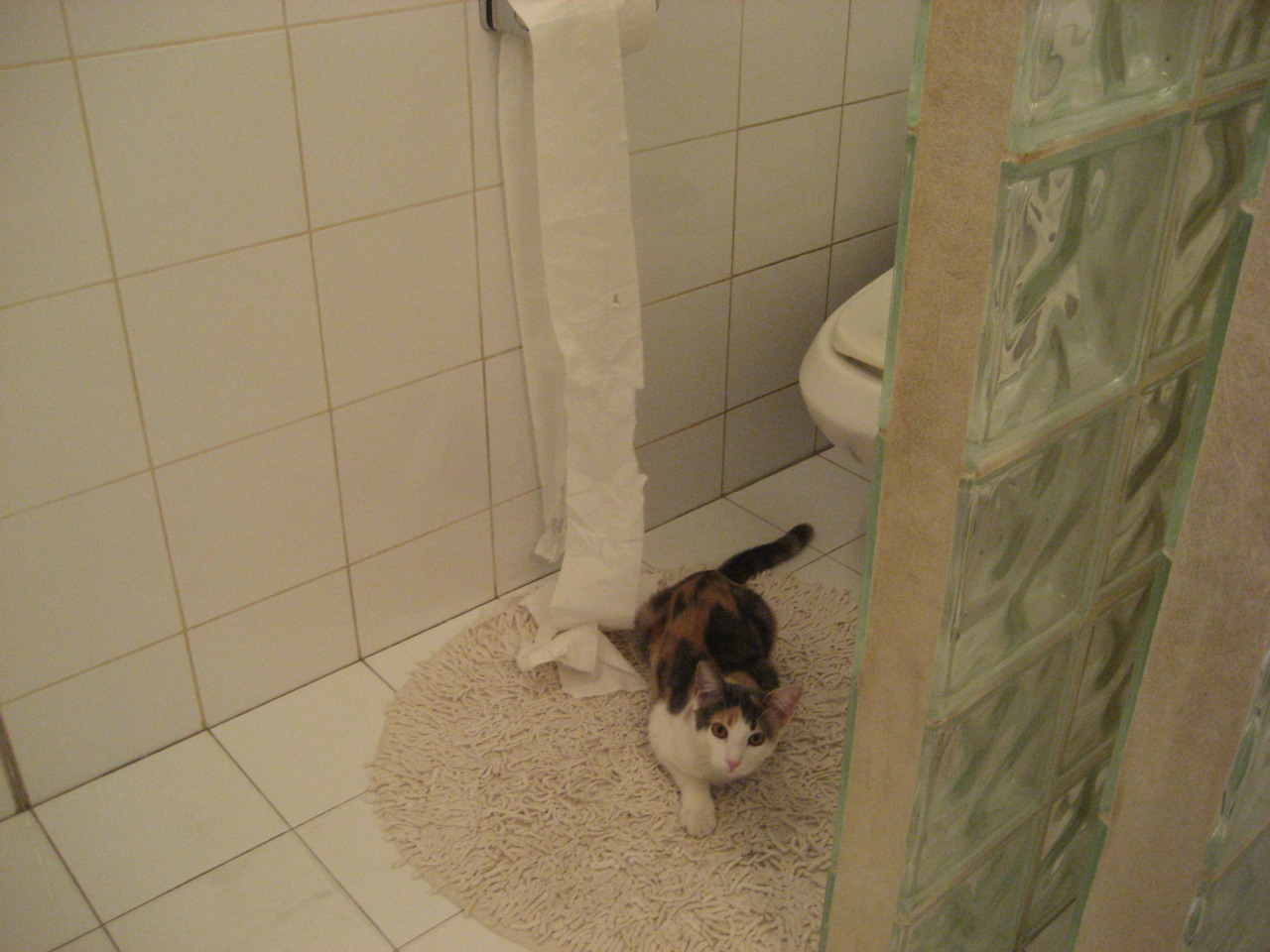 俱乐部世界杯-莱德基800自轻松夺金，莱德基 知乎