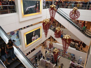 世俱杯足球-迈向未来：Chinese Taipei团队在国际赛场的崭新发展，chinese of taipei