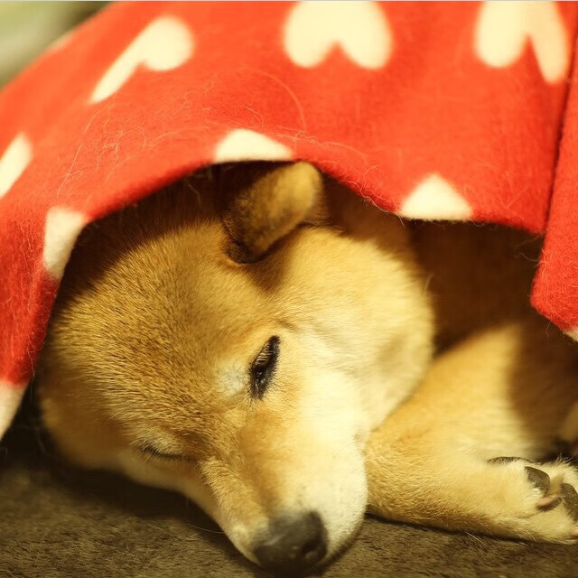 世界俱乐部杯在线观看-欧洲杯战术大师：演绎精彩变化！，欧洲杯战术笔记